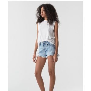 Agolde Parker Vintage Cutoff Denim Shorts in Swapmeet